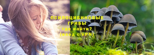 МДМА Коряжма